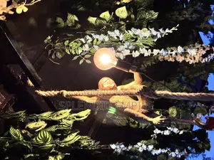 Monkey Drop Light