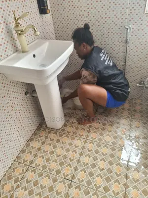 House and Office Cleaning