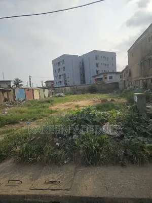 Fenced and Gated Land Off Freedom Way Lekki Phase 1