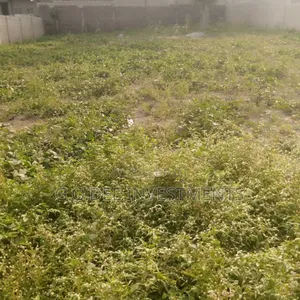 Land for Sale Off Ago Palace Way