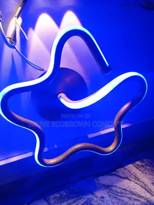 Star Shape Wall Bracket, Ceiling Fitting Light With 3 Colors