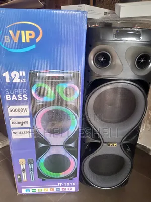 Vip Party Speaker/ Pa System With 2 Wireless Microphone