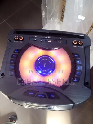 Vip Party Speaker/ Pa System With 2 Wireless Microphone