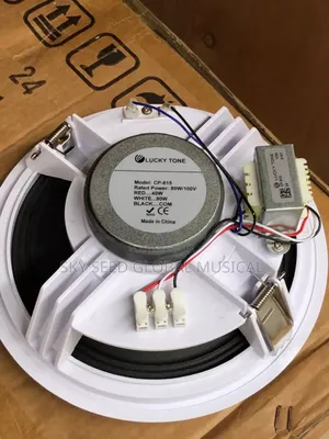 Original 80watts Lucky Tone Ceilings Speaker