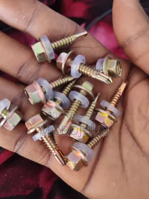 Greenhouse Screws, Self Drilling Screw/Profile Screess, 8mn Screws