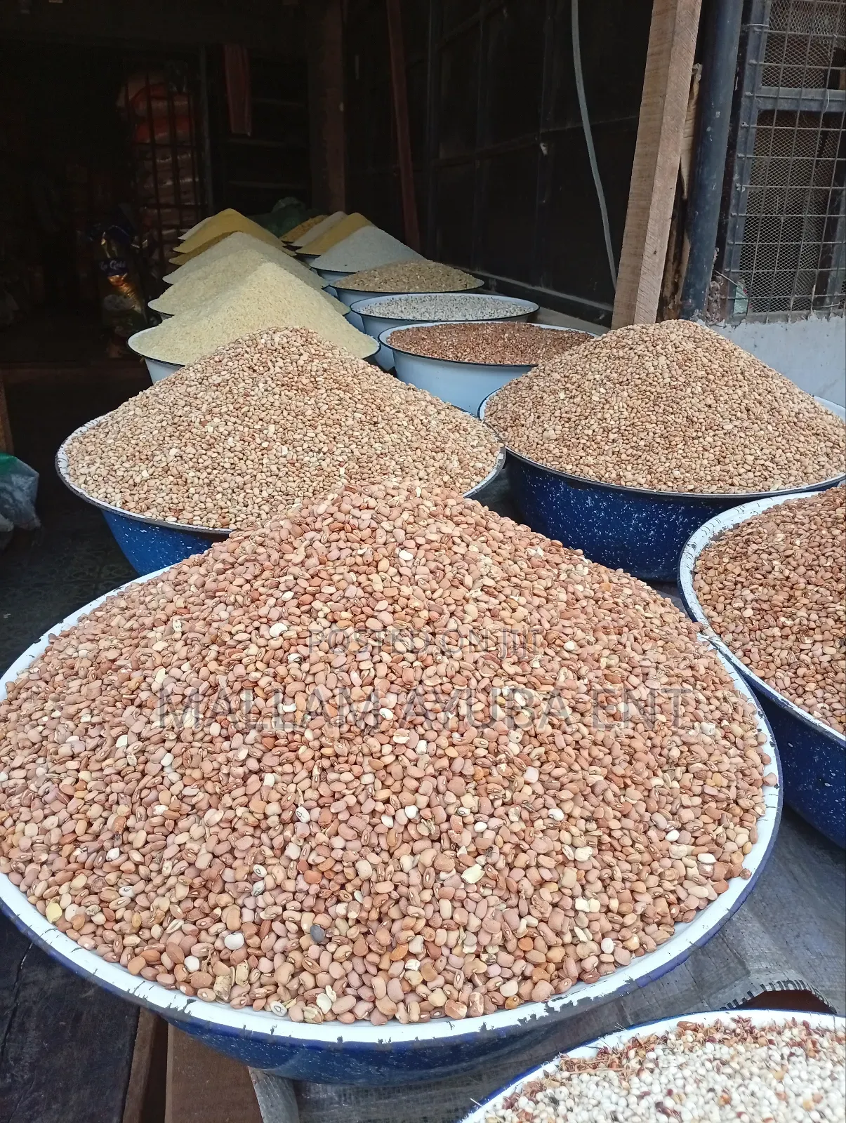 Brown Beans