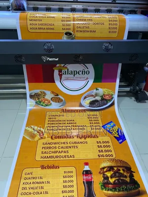 Flex/Roll Banner Print