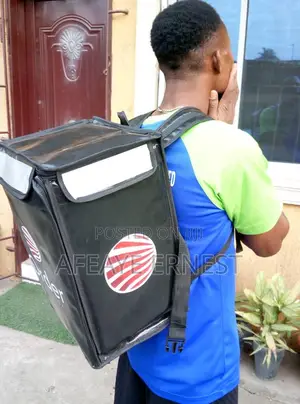Insulated Delivery Bag