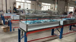 6-Plate Foreign Food Display Warmer —Speed Warming 1yr Warranty Ass