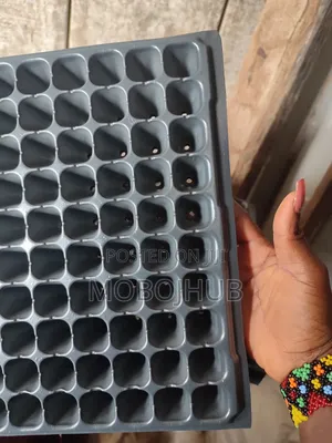 200cell Seedtray, Planting Tray, Seed Stsrter