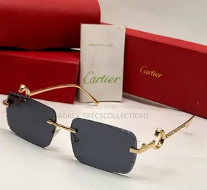 Owambe Designer Sunglasses for Men