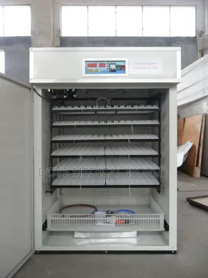 Eggs Incubator With Inverter (300 Eggs)