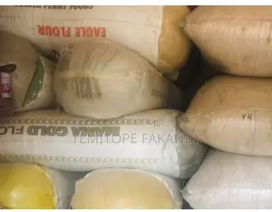 Ijebu Garri for Sale