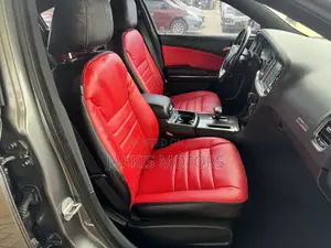 Dodge Charger 2014 Gray