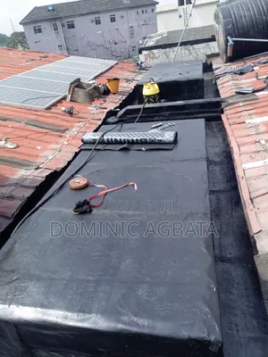 Curvaceous Leak-Proofing Expert