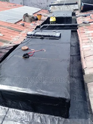 Curvaceous Leak-Proofing Expert