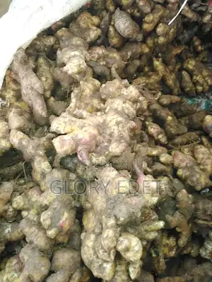 Fresh Ginger Available