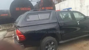 Carryboy Hilux With Grass SRS