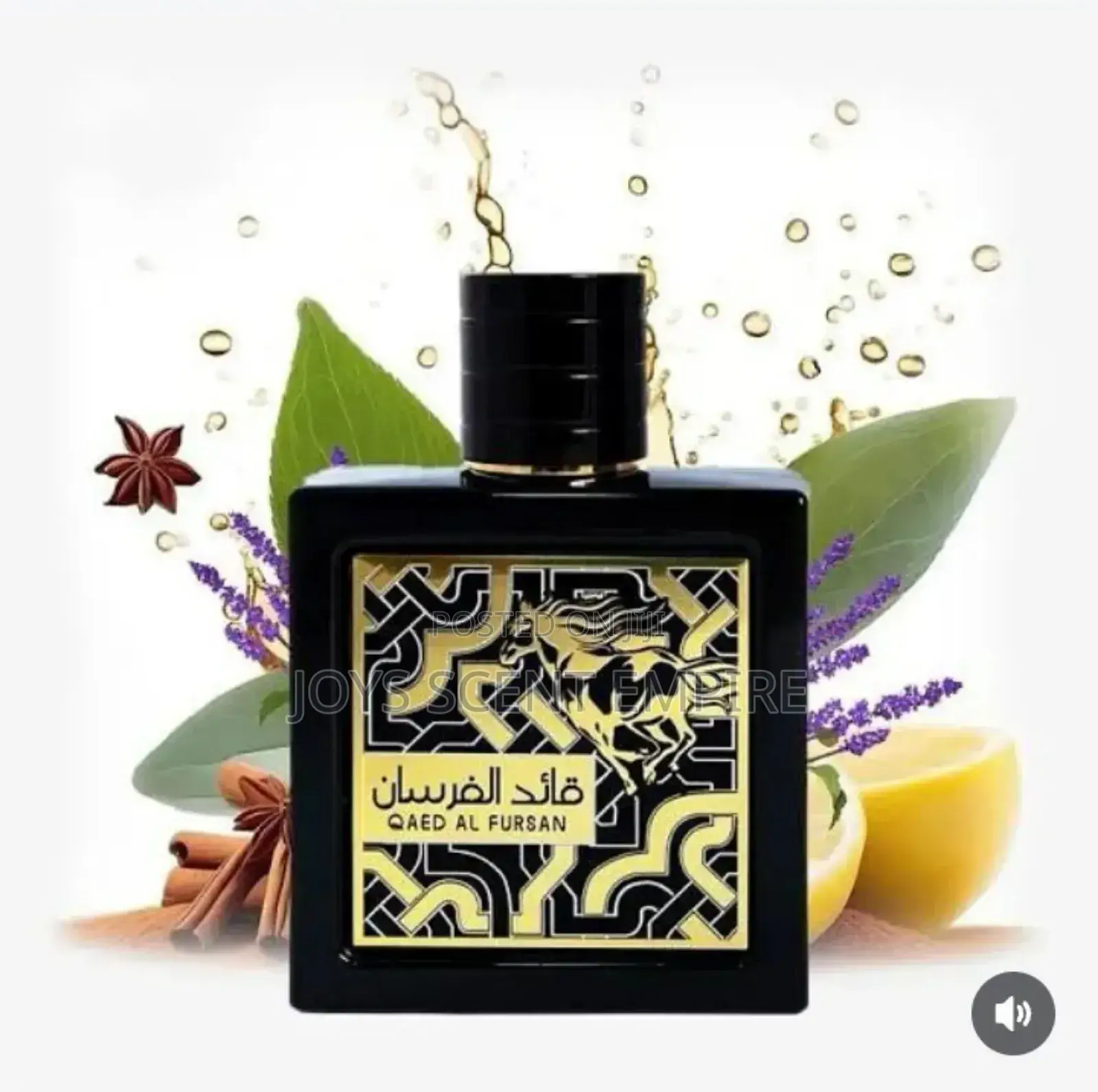 Qaed Al Fursan Black