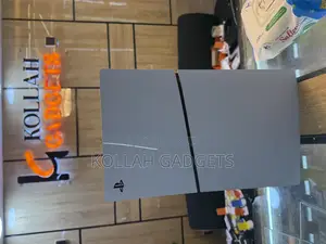 Ps5 Slim and Pad