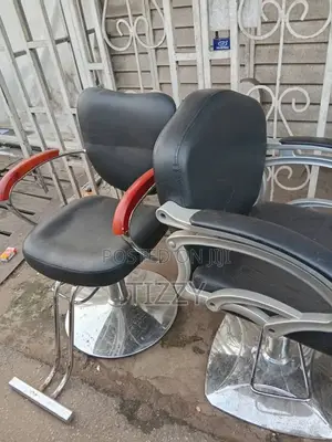 Barber Salon Chair