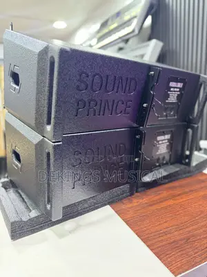 Sound Prince Pro210pr Line Array System Professional Speaker