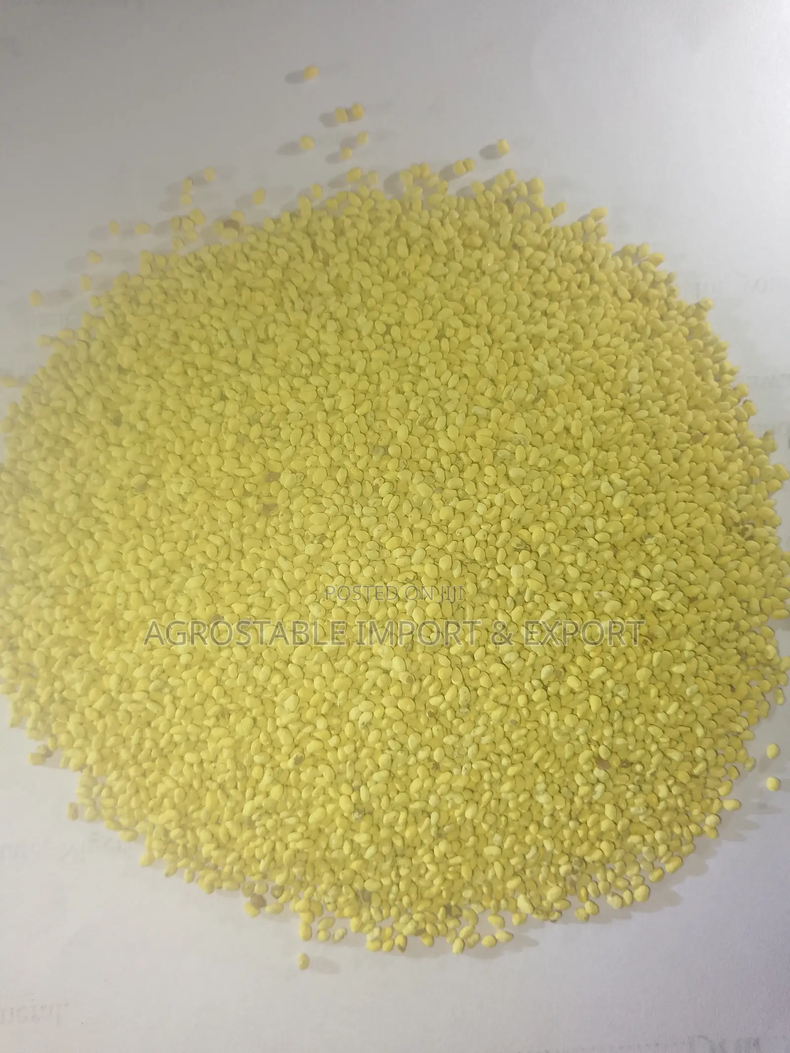 Alfalfa Grass Seed 1kg Pack