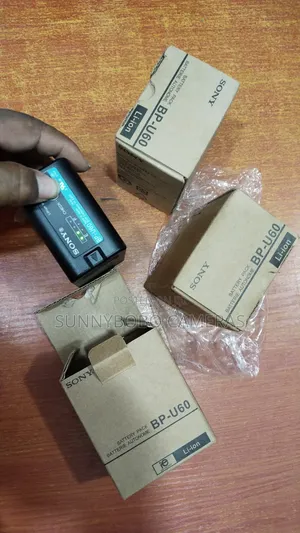 Sony Bp-U60 Battery