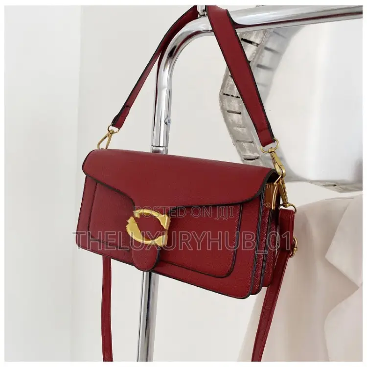Coach Tabby Inspired Bag