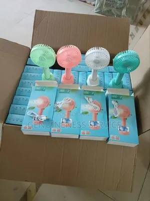 Rechargeable Fan
