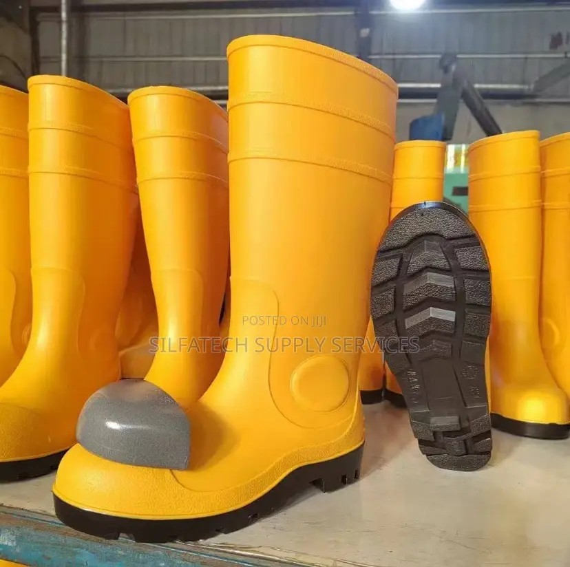 Original Rainboot