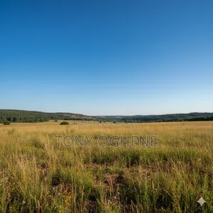 Plots and Acres of Farmlands for Sale in Ibara, Abeokuta North