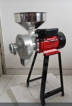 Electric Grain Spice Wet and Dry Grinder