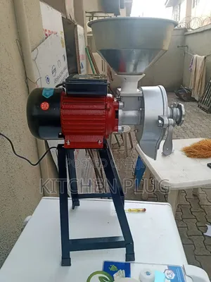 Electric Grain Spice Wet and Dry Grinder