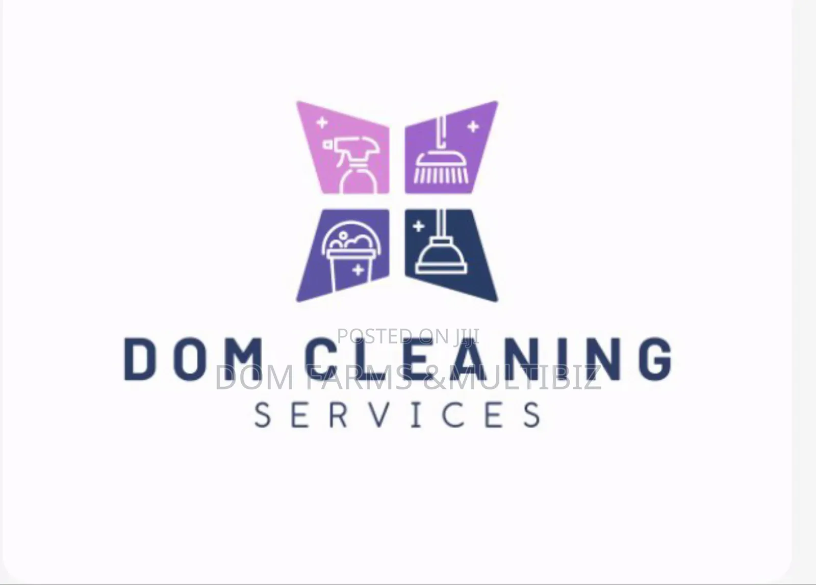 Upholstery and House Cleaning
