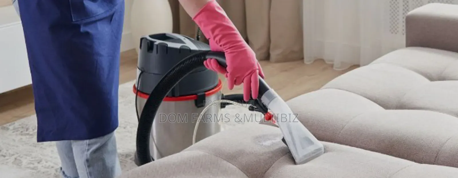 Upholstery and House Cleaning