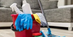 Upholstery and House Cleaning