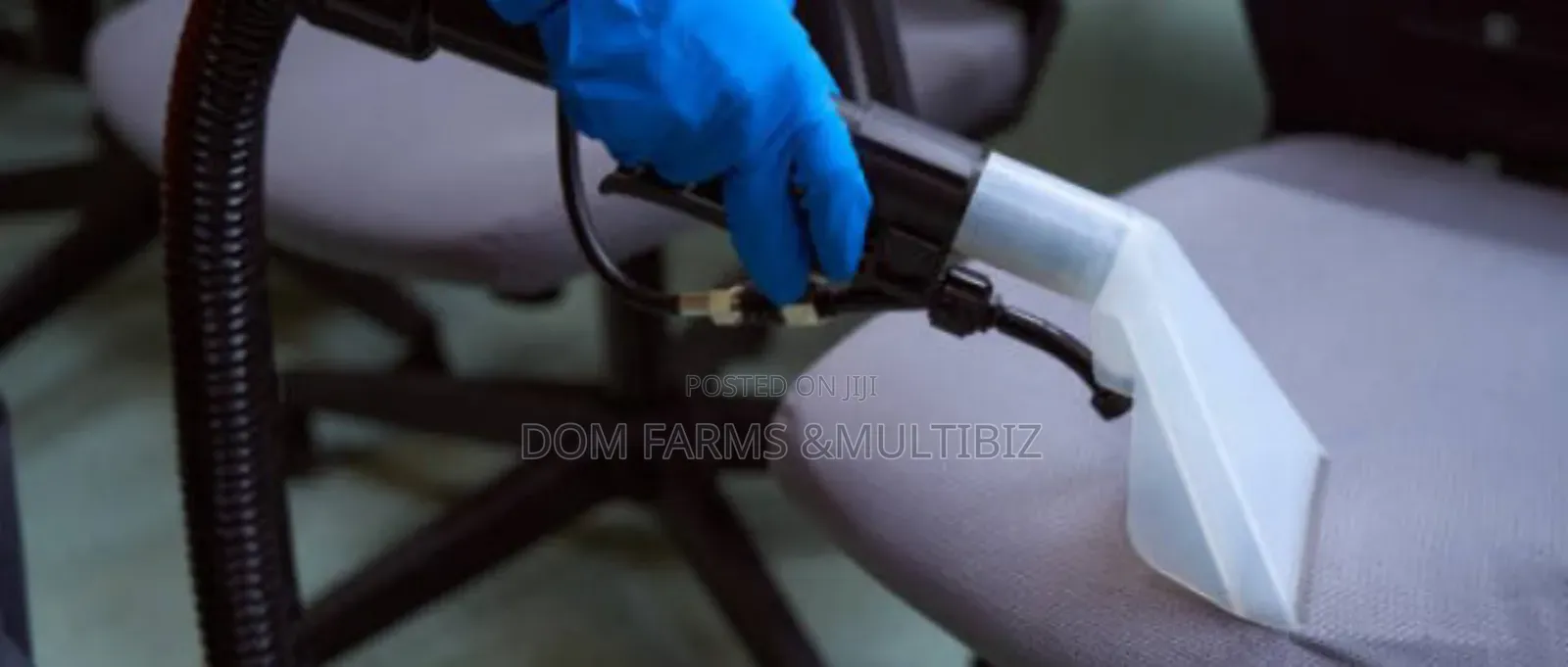 Upholstery and House Cleaning
