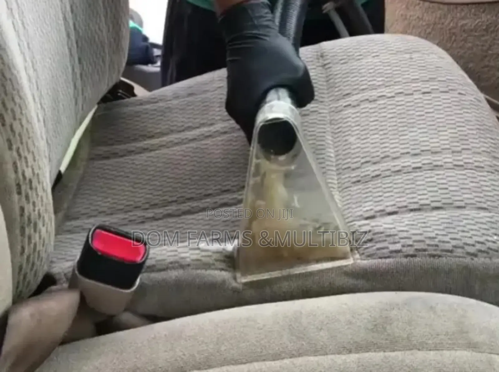 Upholstery and House Cleaning