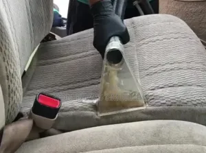 Upholstery and House Cleaning