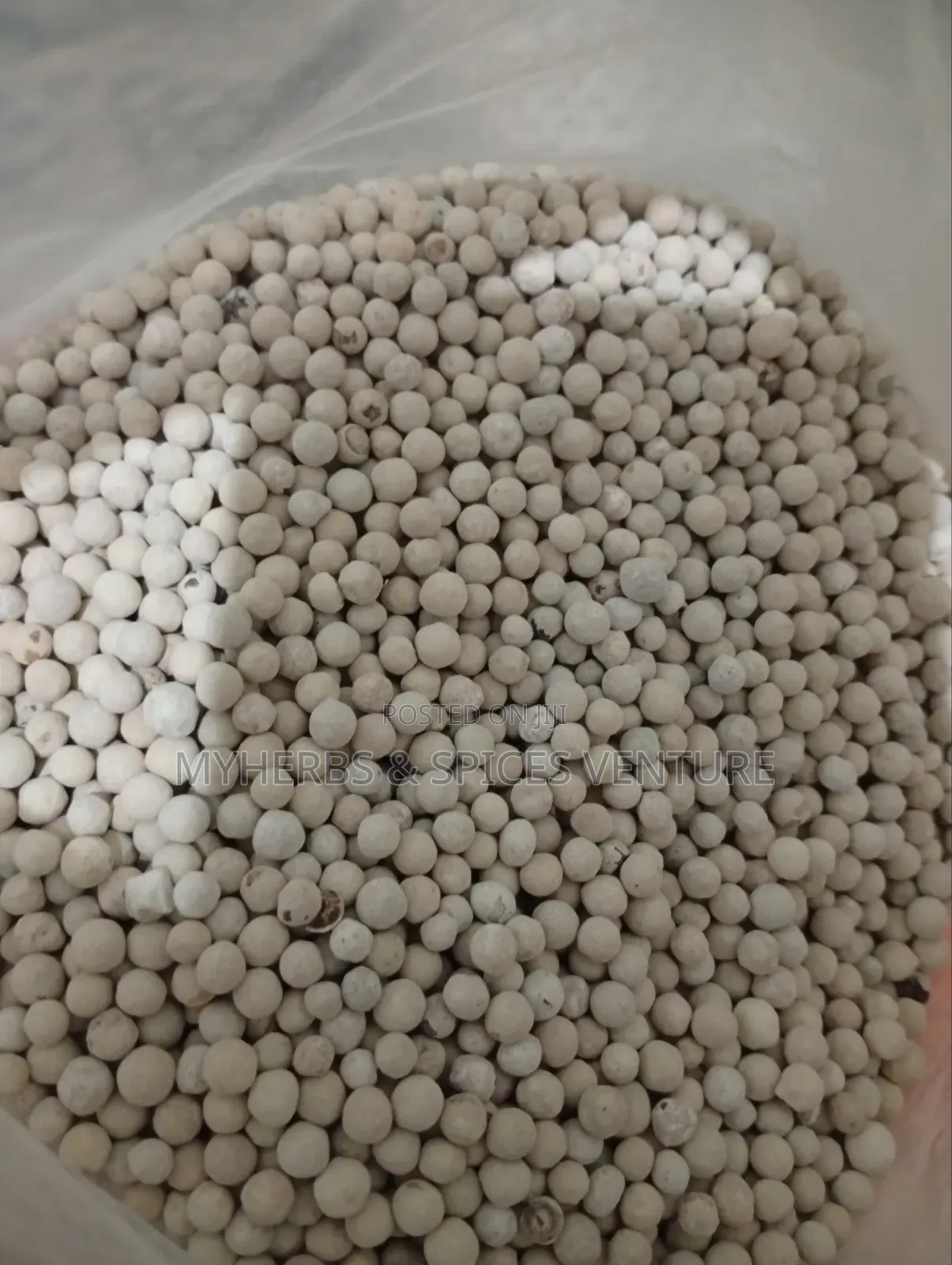 White Pepper