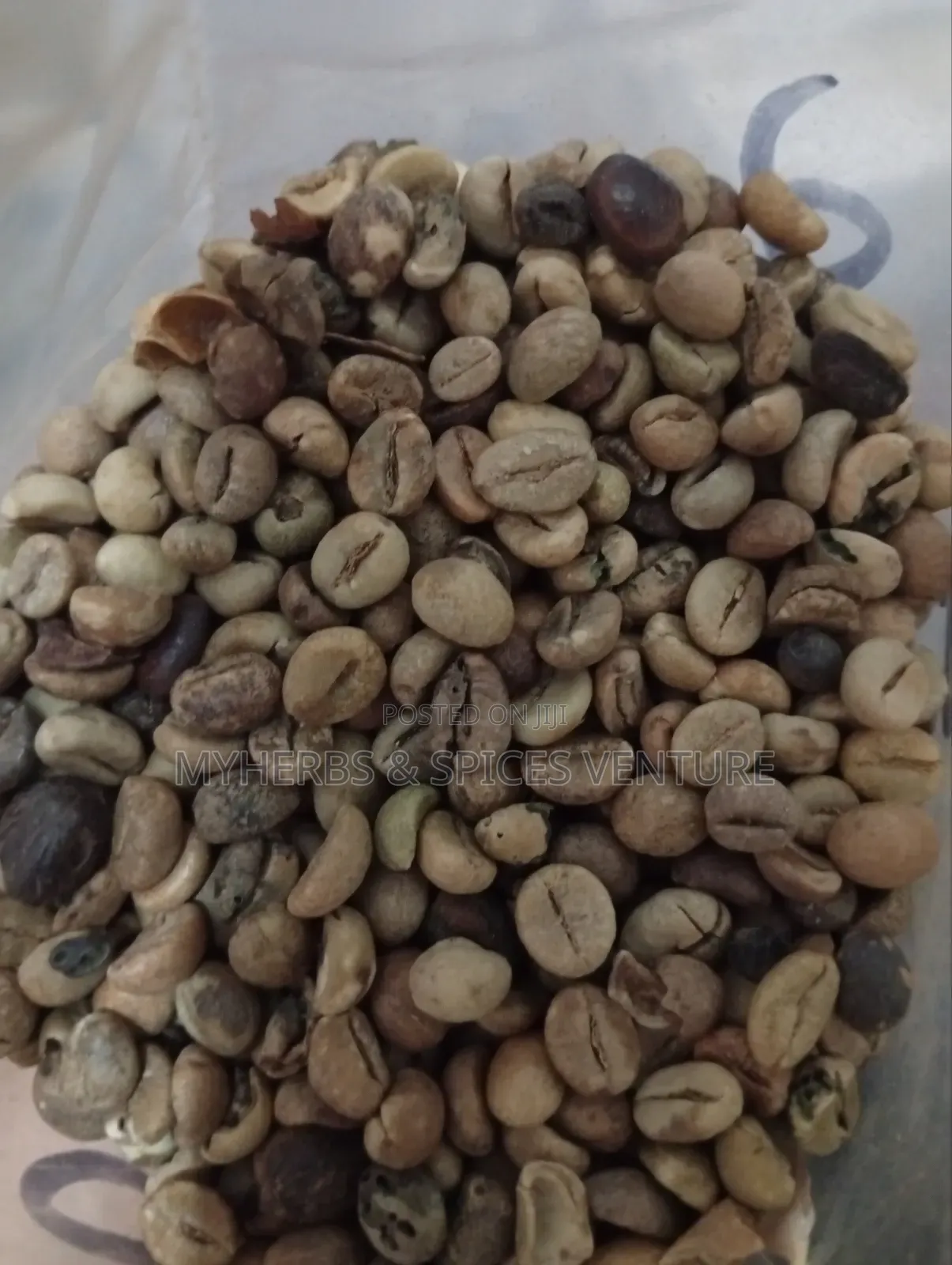 Green Coffee