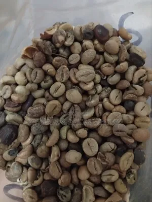 Green Coffee