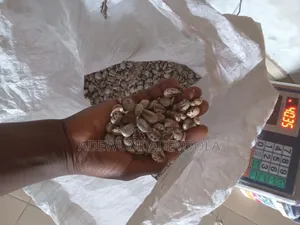 Castor Seed