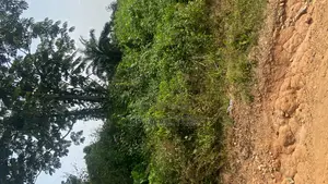 One Plot of Land at Ibadan Road at the Back of Deploy