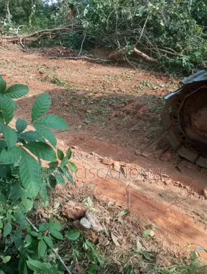 Genuine Plots of Land for Sale