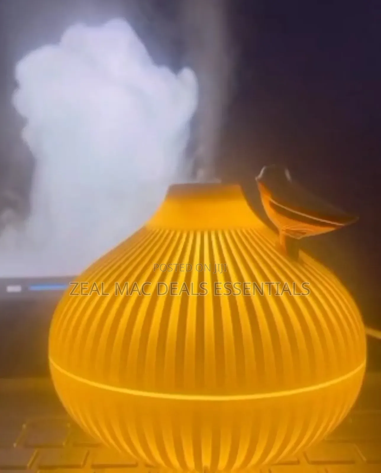 Onion Shape Humidifier