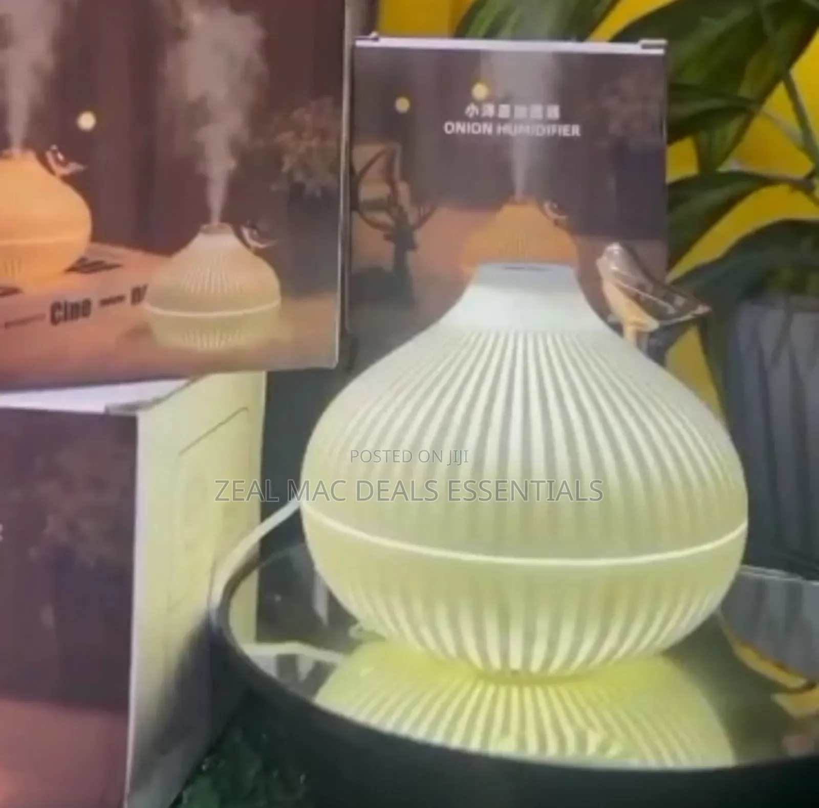 Onion Shape Humidifier