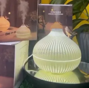 Onion Shape Humidifier