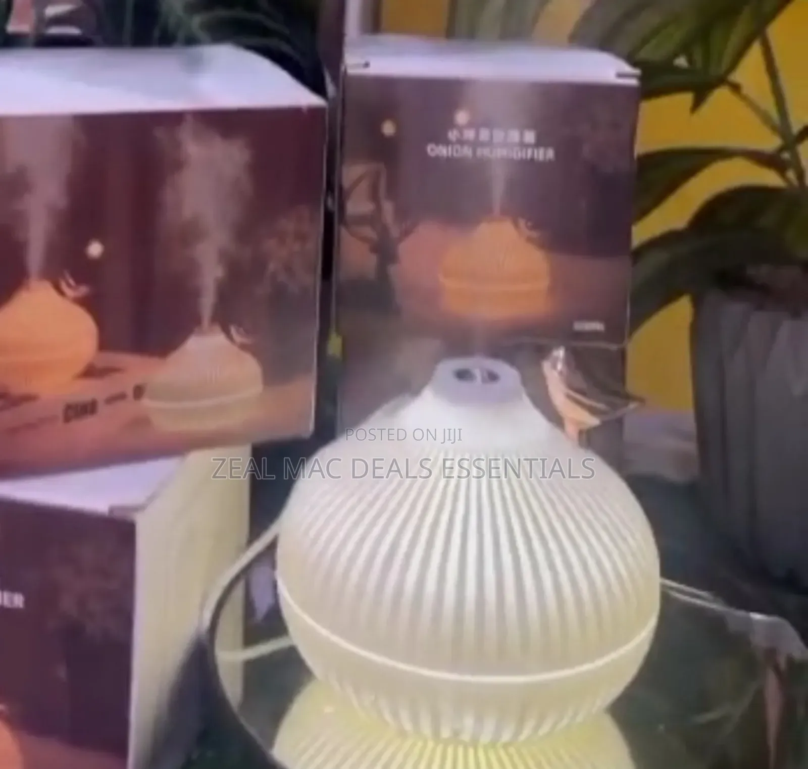 Onion Shape Humidifier